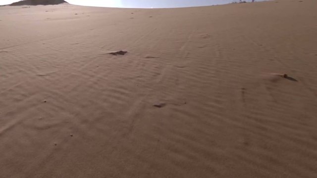 The unique sandy barkhan SariKum in Russia. Aerial view.