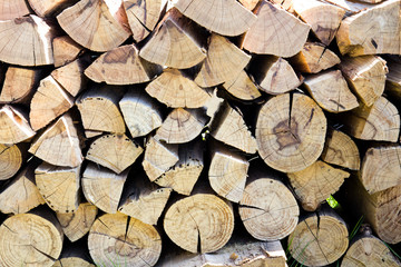 Fototapeta premium Stack of brown wooden log background