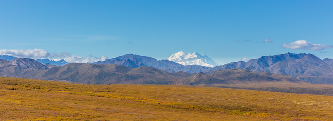 Panoramic Landscape of Denali National Park Alaska