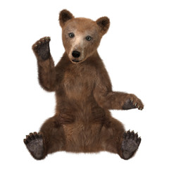 Fototapeta premium 3D Rendering Brown Bear Cub on White