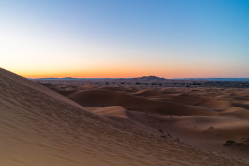 Sahara Desert
