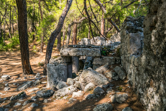 ruins of an ancient city Phaselis in Turkey