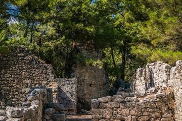 Fototapeta na wymiar ruins of an ancient city Phaselis in Turkey
