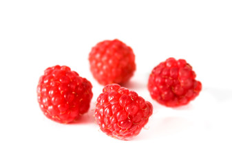 Four berries ripe raspberry on white background