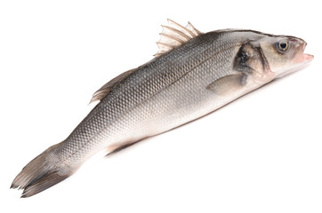 Seabass