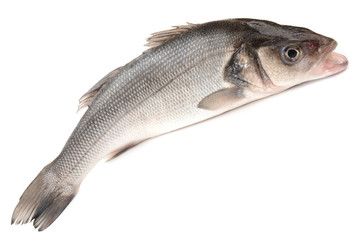 Seabass