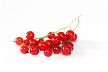 Obraz na płótnie Canvas Ripe red currant berries