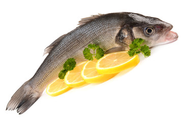 Seabass
