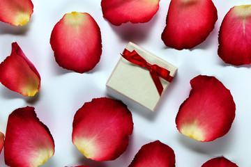White gift box with a bow and bright petals of roses on a white background
