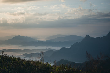 Sun rise. Mountain Phu Chi Fa Thailand.