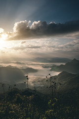 Sun rise. Mountain Phu Chi Fa Thailand.