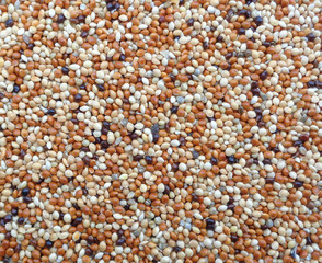 Close-up of Raw Millet for Background, Texture 