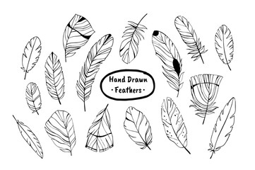Vector ink set. Hand drawn feathers.