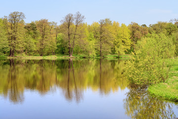 Fototapeta na wymiar Spring forest reflected in the lake on a sunny day