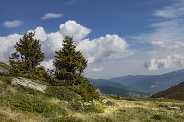 Obraz premium Am Mirnock