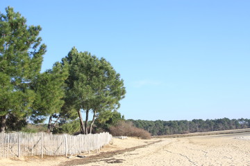 Plage de sable ensoleillée!