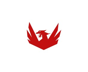 Fototapeta premium Dragon logo