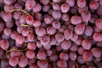 Tasty juicy grapes as background, closeup