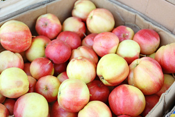 Cardboard box with juicy apples on market, closeup