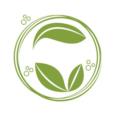 leafs plant isolated icon vector illustration design