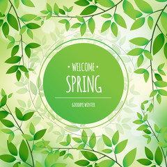 Welcome spring poster or greeting card design. Spring leaf background. Vector illustration