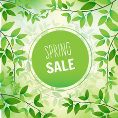 Spring sale banner. Vector illustration on the background of trees branches.