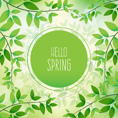 Hello Spring vector design. Elements for the spring season. Vector illustration