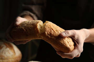 Male hands breaking freshly baked bread, closeup