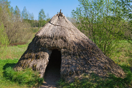 Grass Hut In Spring