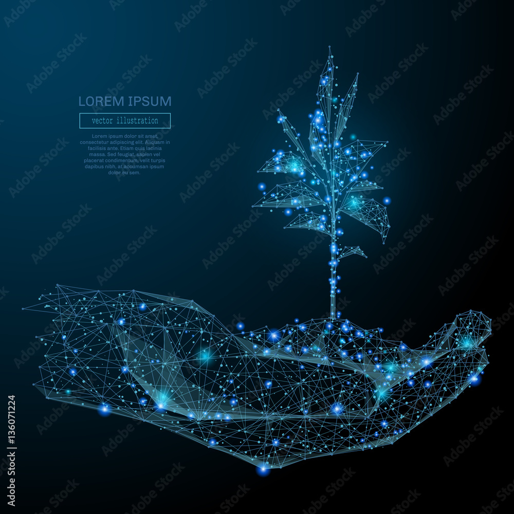 Leinwandbilder abstract image of a human hands holding sprout in the form of a starry sky or space, consisting of p