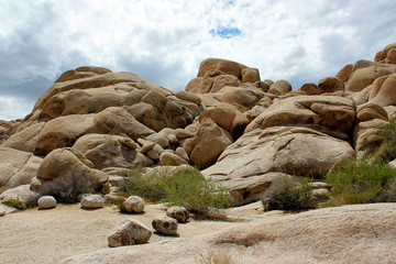 Joshua Tree National Park, Mojave Desert, California