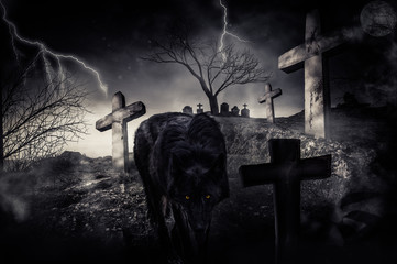 Loup effrayant dans un cimetière
