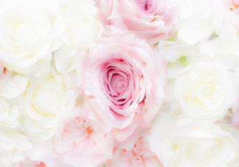 Obraz na płótnie Canvas Pink and white roses background