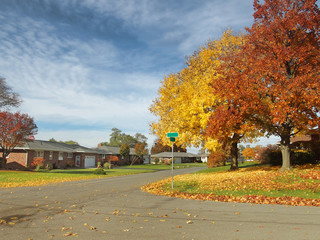 Naklejka premium neighborhood in autumn