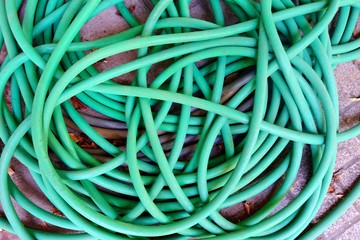 old and dirty green garden hose.