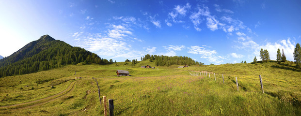 Obraz premium Ein Sommertag auf der Lackenalm