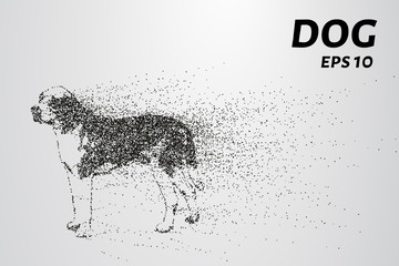 Dog of the particles. The silhouette of the dog consists of circles and points. Vector illustration
