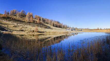 Spiegelung in der Lacke
