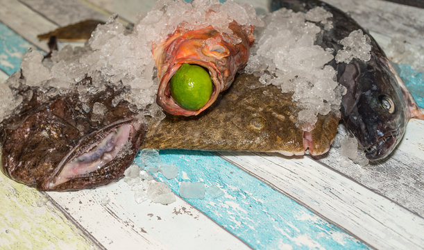 frischer Fisch mit Eis Seeteufel und Steinbutt