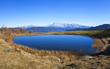 Ein Naturjuwel auf der Lackenalm