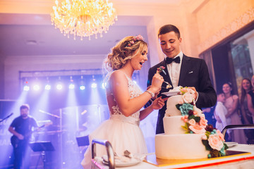 Bride and Groom at Wedding Reception Cutting the Wedding Cake and kissing each other.