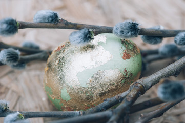 Painted Easter egg and pussy willow on the recycled wooden board background