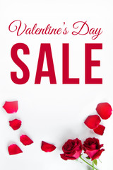 Valentines day sale message with red roses and petals on white background.