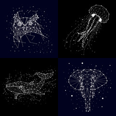 set of constellation , elephant, owl, whales , jellyfish, star , vector graphics © chikovnaya