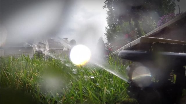 Automatic irrigation system watering lawn