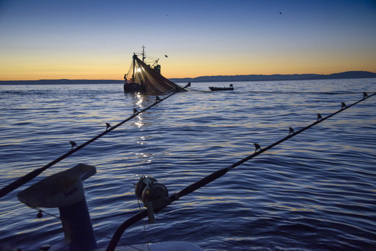 รูปภาพAnglerboot – เลือกดูภาพถ่ายสต็อก เวกเตอร์ และวิดีโอ98 | Adobe Stock