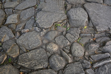 Paving stone