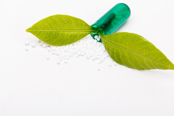 Open capsule with green leaf growing out from it
