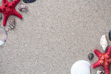 Sea shells and star fish on sandy background