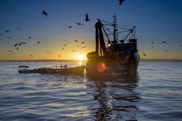 Sonnenaufgang  in der Adria. Fiescherboot. © Peter